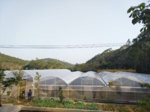 ETFE greenhouse