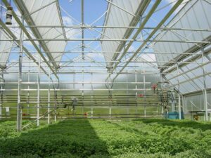 Polycarbonate greenhouse