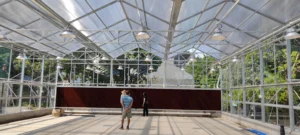 Venlo glass greenhouse
